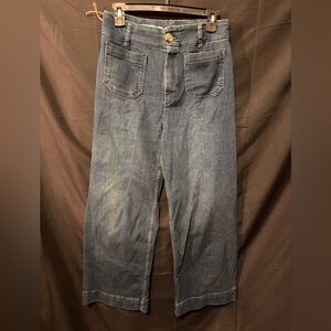 Anthropologie Deep Blue Straight Jeans